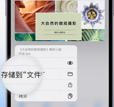 回民apple维修中心分享iPhone文件应用中存储和找到下载文件