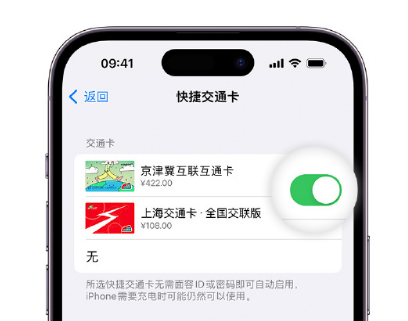 回民apple维修点分享iPhone上更换Apple Pay快捷交通卡手绘卡面 