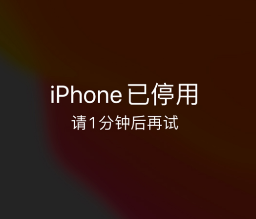 回民苹果手机维修分享:iPhone 显示“不可用”或“已停用”怎么办？还能保留数据吗？ 