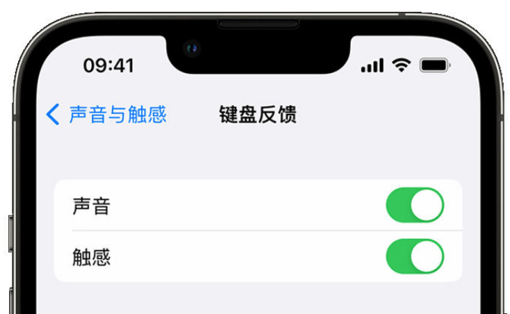 回民苹果手机维修分享iPhone 14触感键盘使用方法 