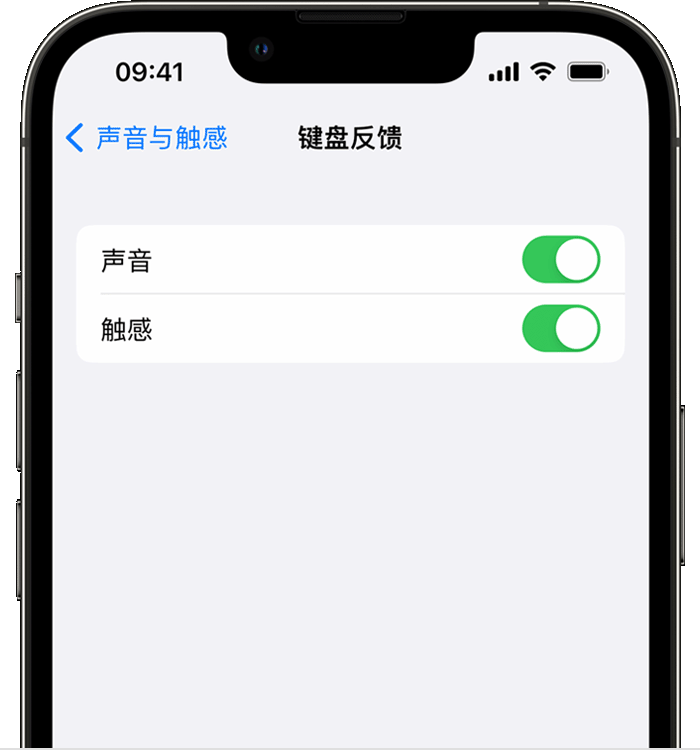 回民苹果14维修店分享如何在 iPhone 14 机型中使用触感键盘 