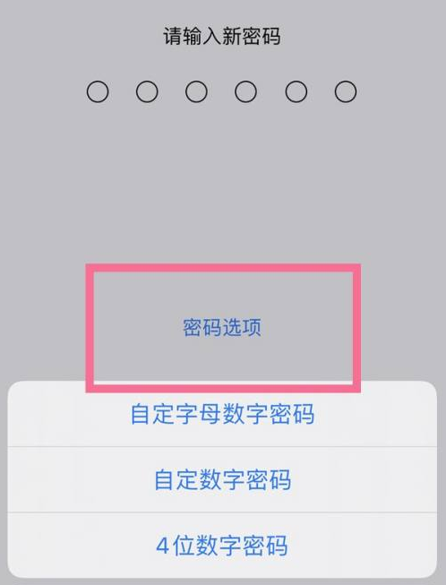 回民苹果14维修分享iPhone 14plus设置密码的方法 