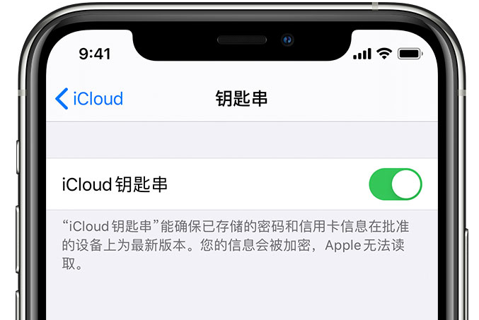 回民苹果手机维修分享在 iPhone 上开启 iCloud 钥匙串之后会储存哪些信息 