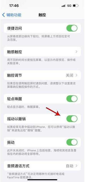 回民苹果手机维修分享iPhone手机如何设置摇一摇删除文字 