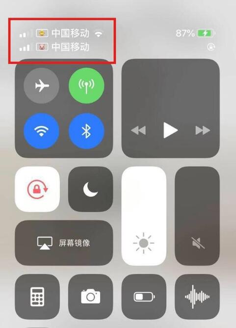 回民苹果手机维修分享为 iPhone 12 双卡设置标签 